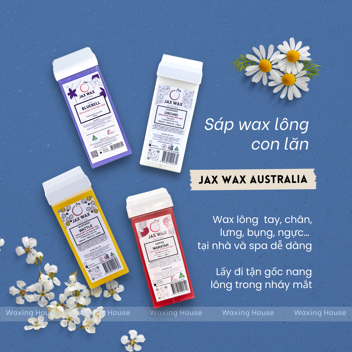 Sáp wax lông con lăn Jax Wax Waratah 100ml