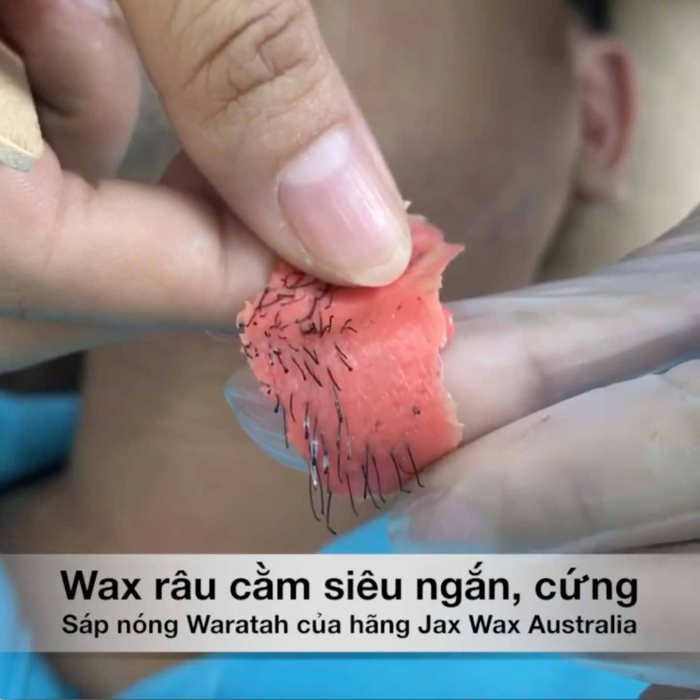 Sáp wax lông Jax Wax Australia Waratah dạng hạt